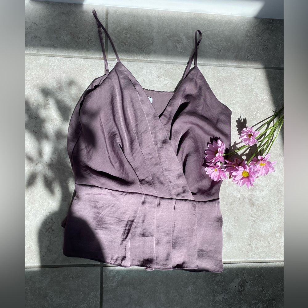 Naked Zebra Purple Pendulum Top